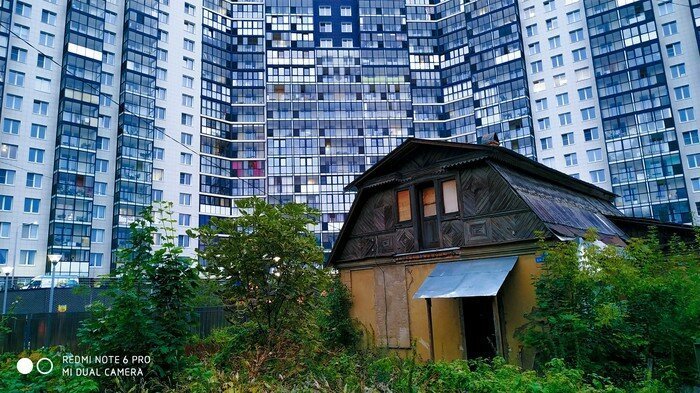 Невероятное сочетание контрастов красота,природа,цвет