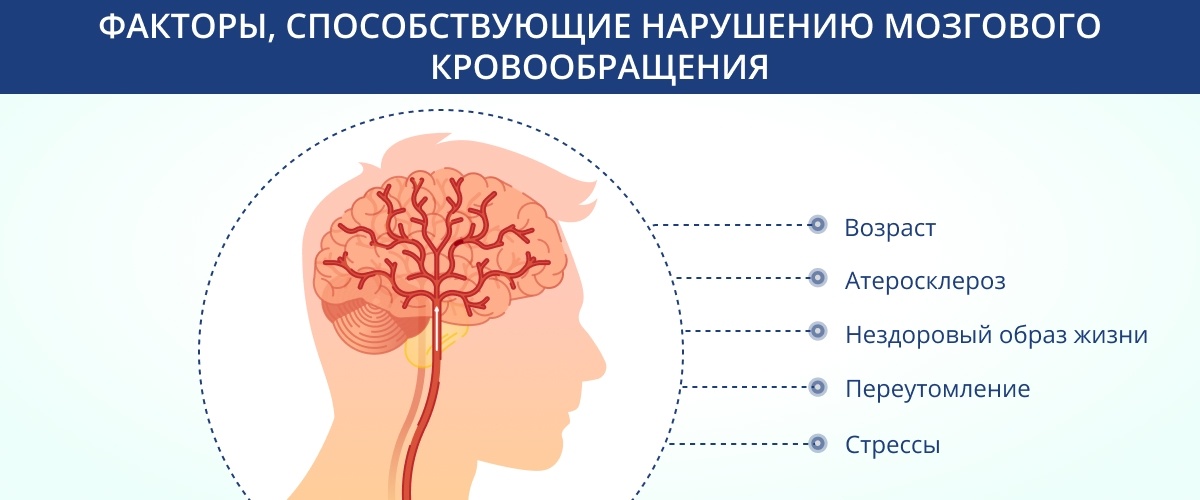 Факторы, способствующие нарушению мозгового кровообращения