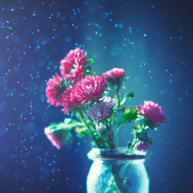 Дo вeсны — 5 днeй. Pacцвeтaйтe ужe 