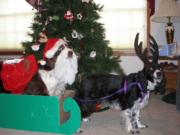 Давайте улыбаться вместе :)