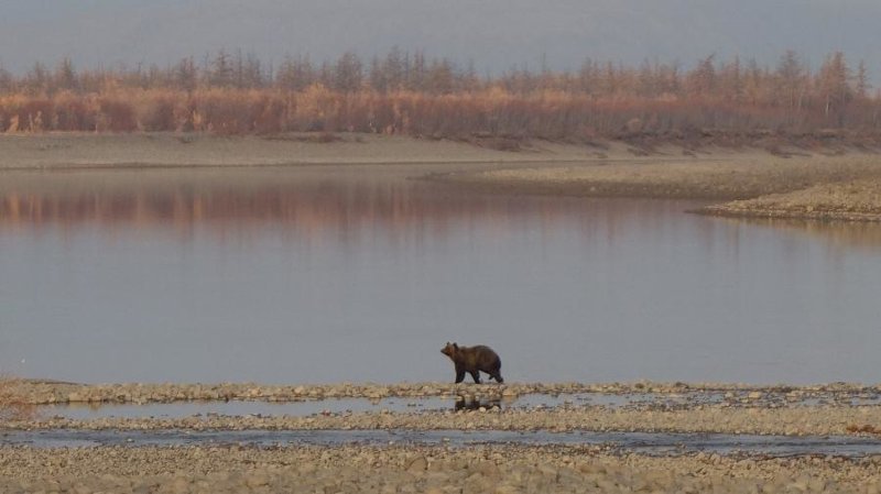 р. Аякли... история, путешествие, факты