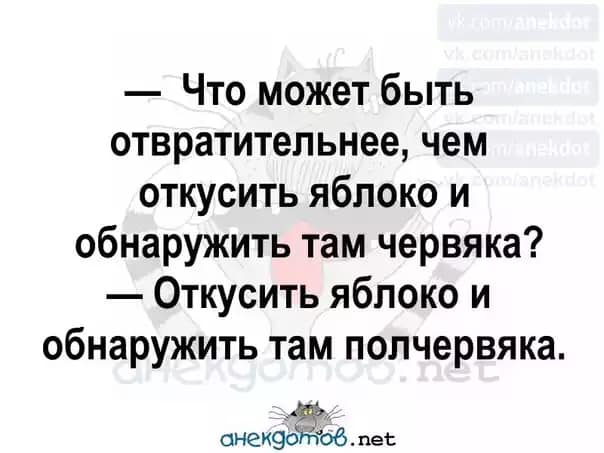 Из объяснительной: "Я, белокурая лахудра на "мазде", повернула туда, куда захотела... Весёлые,прикольные и забавные фотки и картинки,А так же анекдоты и приятное общение