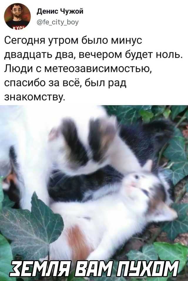 Подборка прикольных картинок  приколы,смешные картинки,юмор