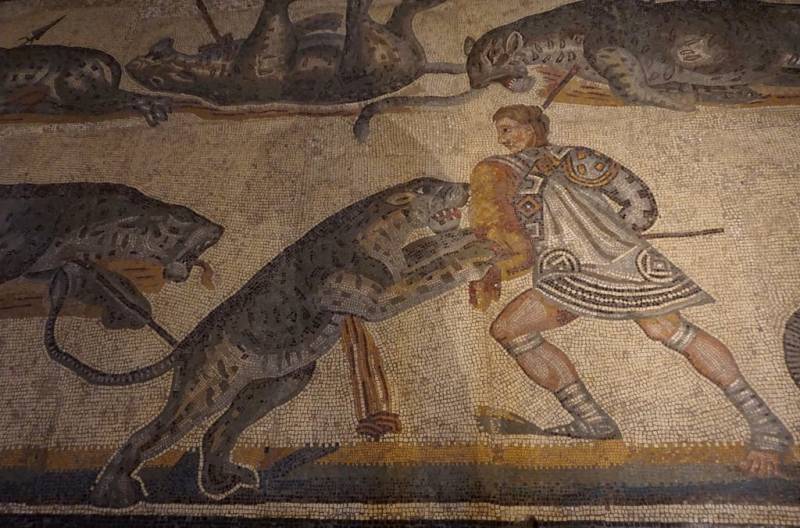 Спартак: человек ниоткуда. Тайна личности знаменитого гладиатора 