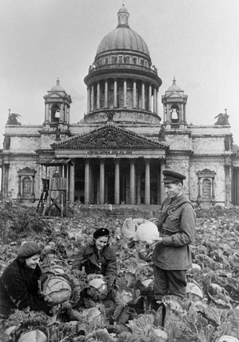 История блокадного Ленинграда в фотографиях доказательства