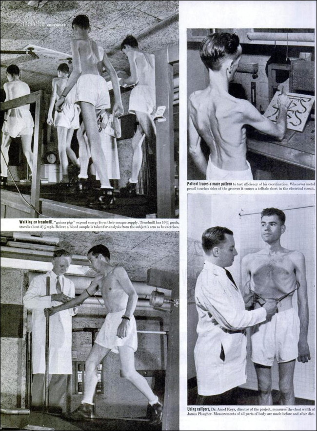 Миннесотский “голодный” эксперимент 1944 года медицина,наука,похудение,эксперименты
