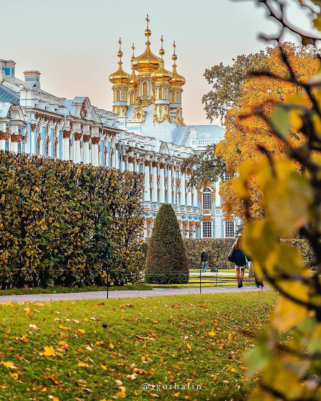 екатерининский парк москва зимой