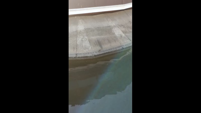 Video: Клип @donetskdnr_vk