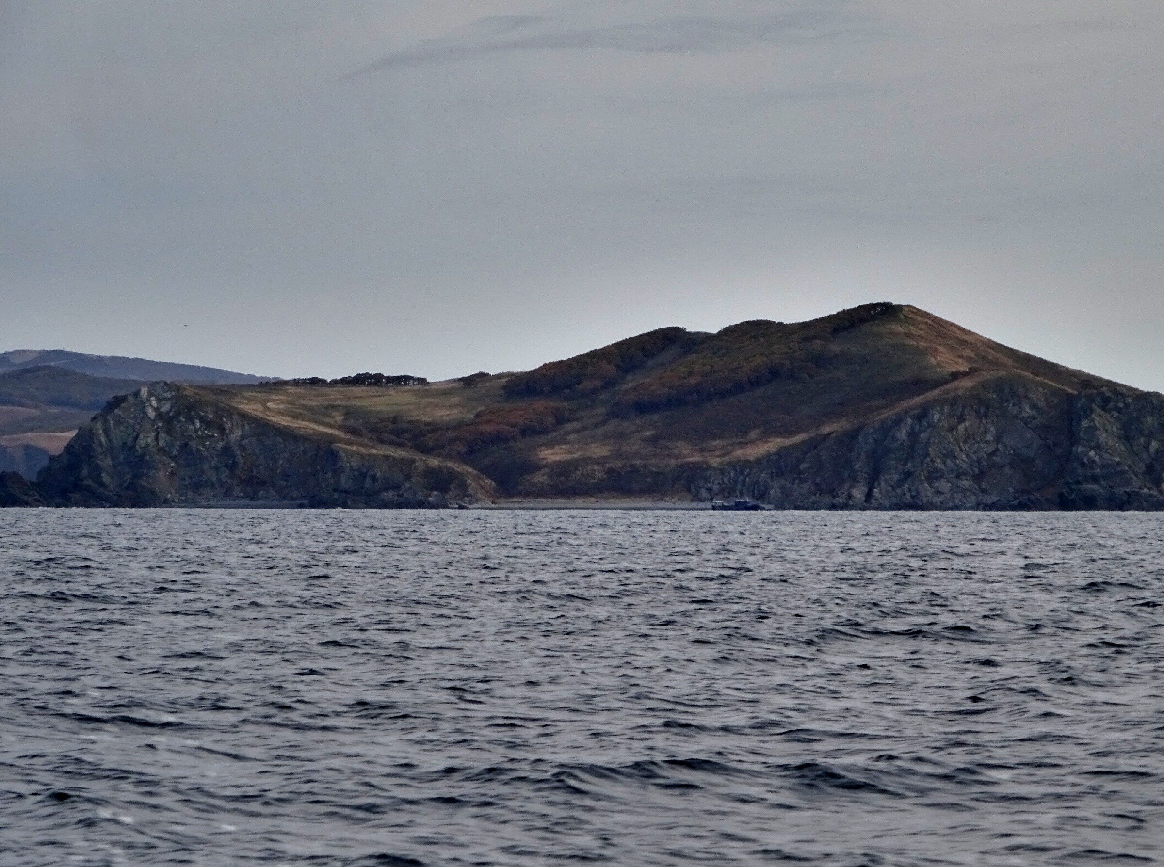 Путешествие к тюленям Ларги. Камни Унковского Путешествие к тюленям Ларги. Камни Унковского