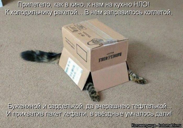 Лучшие котоматрицы за прошедшую неделю