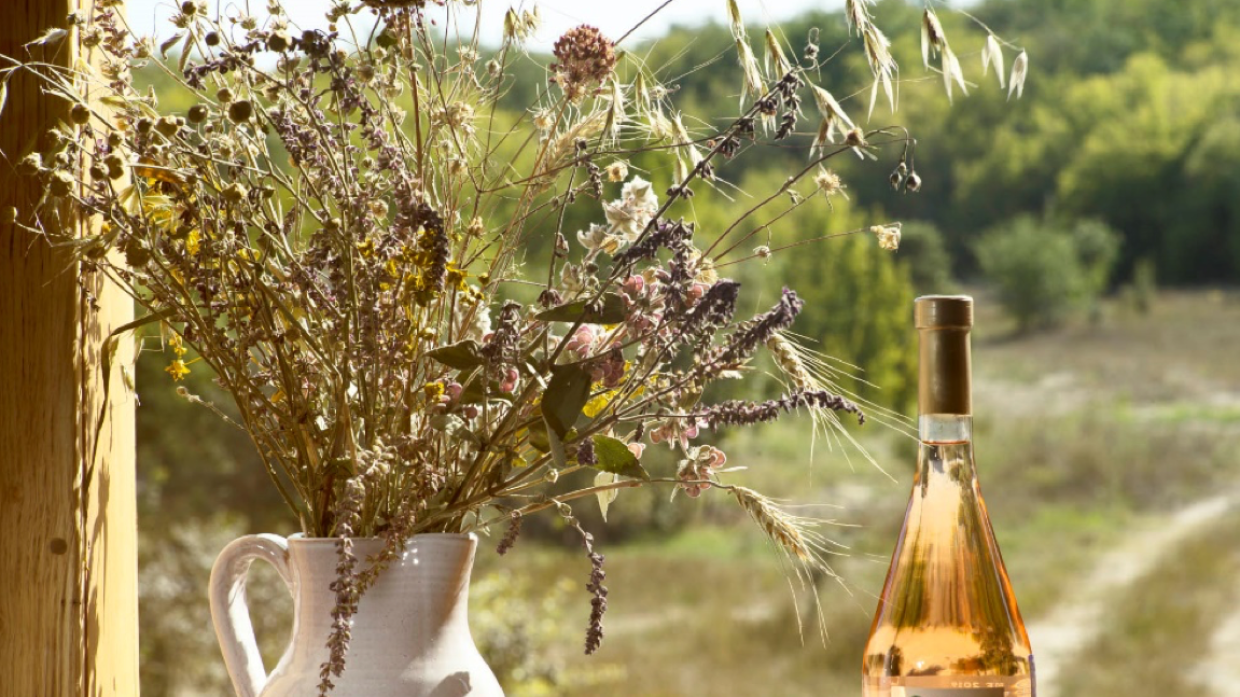 «Скелет» для сферы виноделия: как новый закон отразится на виноделах РФ и Европы «Скелет» для сферы виноделия: как новый закон отразится на виноделах РФ и Европы Общество