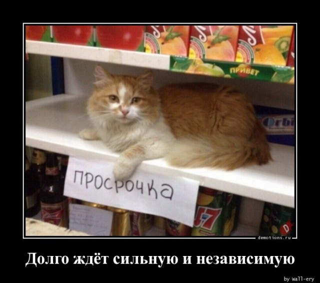 Новая коллекция прикольных демотиваторов для всех ценителей сарказма и юмора! 