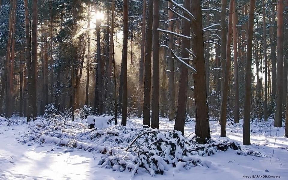 4 декабря в Рязанской области ожидается гололедица и до -5 градусов
