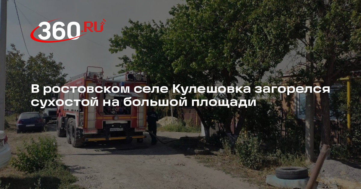 В ростовском селе Кулешовка загорелся сухостой на большой площади
