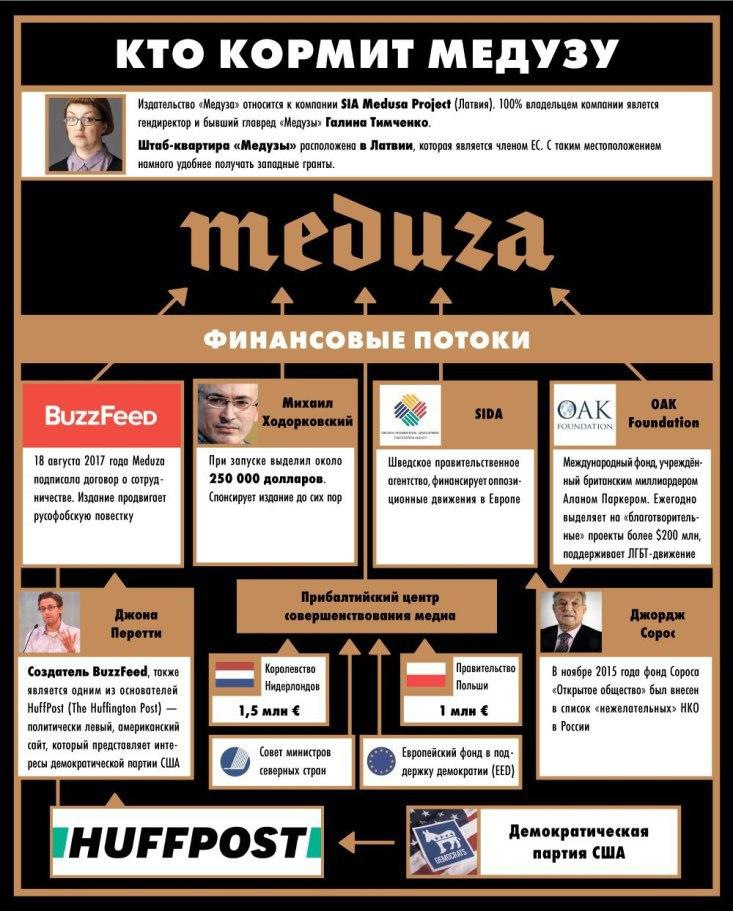 «Медуза» - либеральная помойка, которую необходимо закрыть