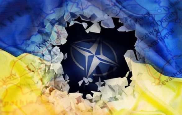 ВСУ — щит Европы, Украина усилит НАТО: главком армии «незалежной» | Русская весна