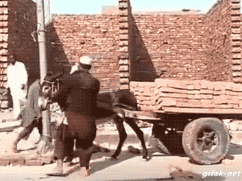 Гифки из нашей жизни: неудачные моменты и позитивные ситуации Гифки из нашей жизни: неудачные моменты и позитивные ситуации