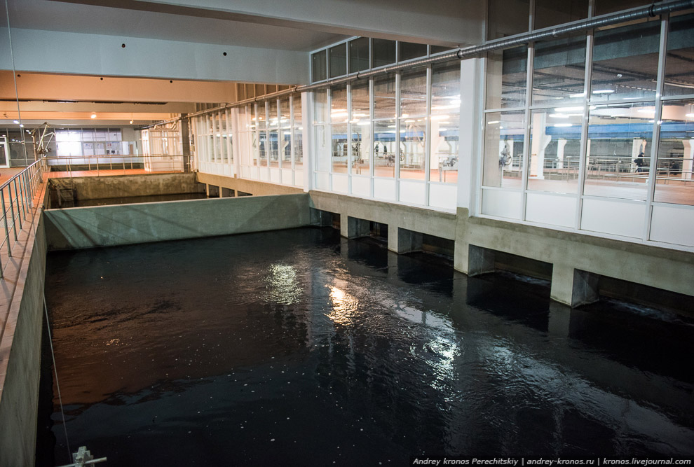 Как очищают воду, которую мы пьем Путешествия,фото