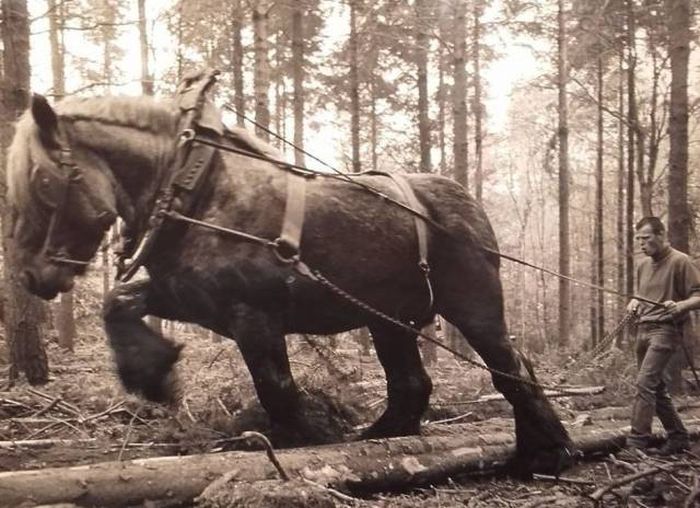 Прикольные картинки и веселые фотографии до слез 