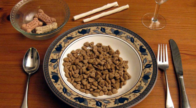 15 странных профессий, за которые платят очень даже реальные деньги - свежие новости на Toplenta по теме Стран