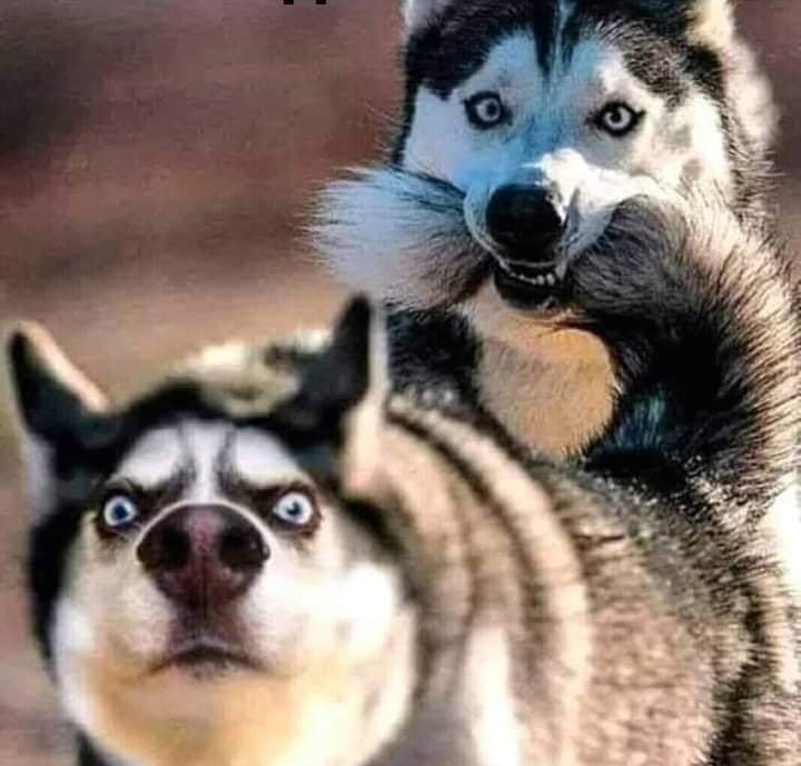 Я перестал смотреть телевизор 5 лет назад, когда пульт от него упал за диван. Оттуда еще никто не возвращался 