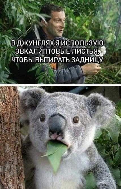 Ржачные до слез свежие картинки с надписями 