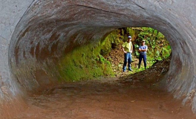 Спелеологи исследовали странные пещеры, когда поняли, что ходы выкопаны огромным живым существом 10 тысяч лет назад огромные, нашли, туннелей, следы, когти, найденных, наземным, других, метров, геологии, стенах, более, пещер, сотни, научное, название, вымершего, гигантского, наземного, americanum