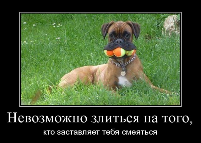 Новая коллекция прикольных демотиваторов для всех ценителей сарказма и юмора! 
