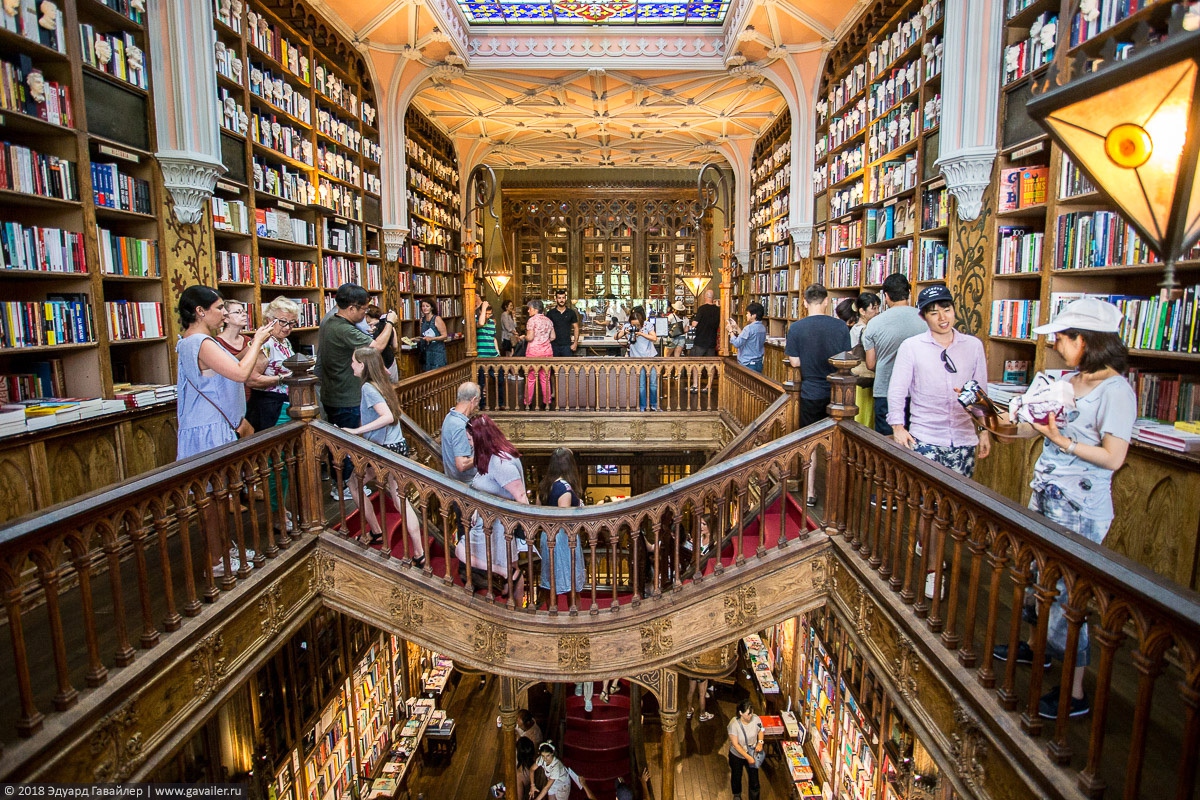 Большой книжный магазин в санкт петербурге. Livraria Lello Португалия. Книжный магазин Livraria Lello. Красивый магазин.