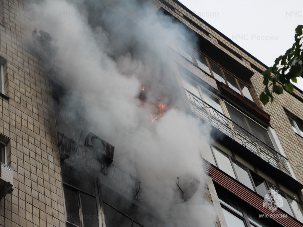 На пожаре в пятиэтажке в Иванове сотрудники МЧС спасли кота и хомяка
