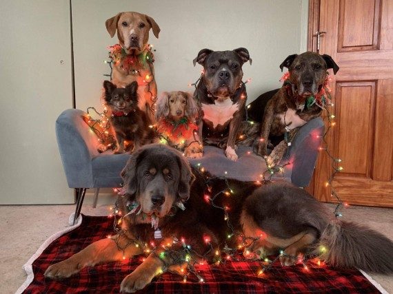 На позитивной волне! На позитивной волне!