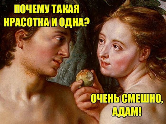 Смешные картинки с надписями и томат истребитель Смешные картинки с надписями и томат истребитель