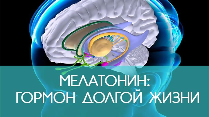 Гормон хорошего самочувствия и долголетия гормон вечной молодости,долголетие,здоровье,мелатонин,сон