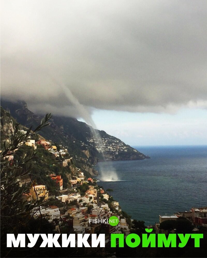 Шутки за 300 от матушки-природы Шутки за 300 от матушки-природы деревья ,интересное, природа , природные явления, растения, шутки