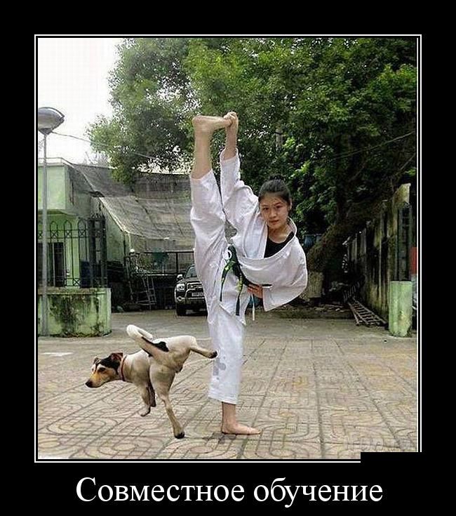 Зачетные, смешные и веселые демотиваторы на вечер позитивные демотиваторы