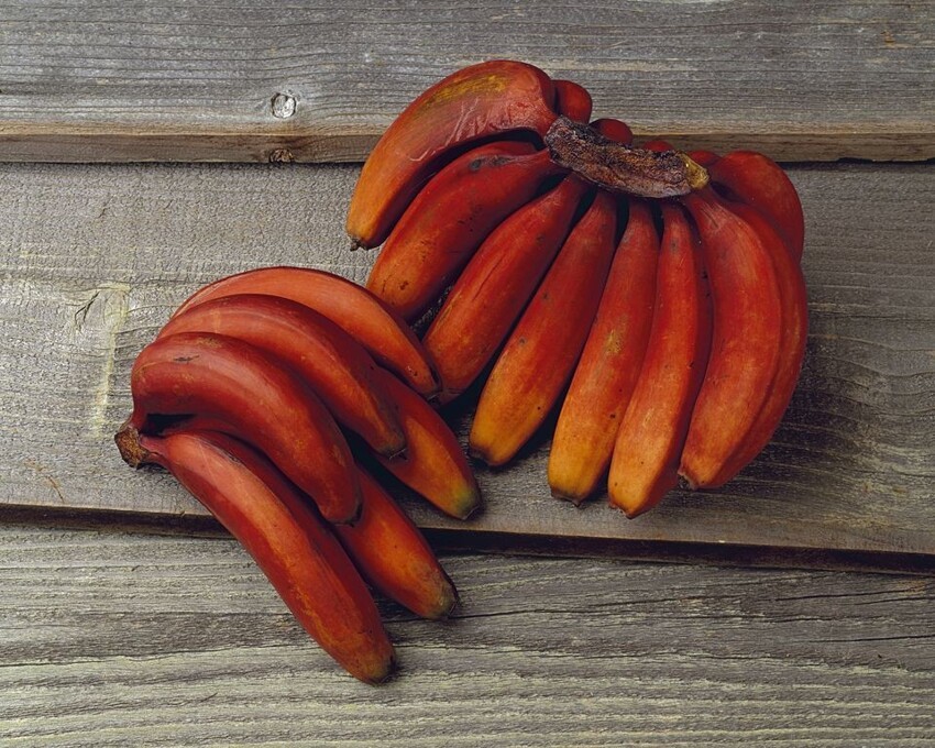 Оранжевые бананы
