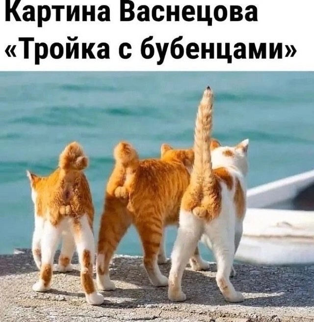 Личные данные в сети какие-то жидкие. Постоянно утекают  Залог, крепкой, онлайндружбы, регулярное, облайкивание, Конькобежец, Анголы, принёс, своей, сборной, медали, никто, знает , Продолжим , чуть , позже
