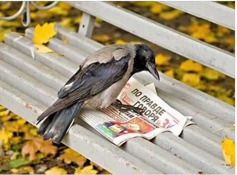 Я перестал смотреть телевизор 5 лет назад, когда пульт от него упал за диван. Оттуда еще никто не возвращался 