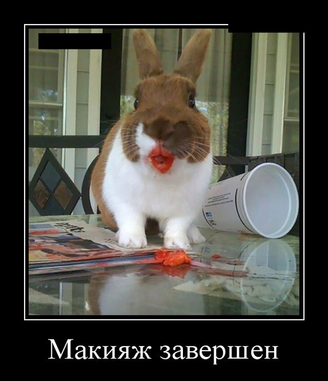 Классные и ржачные демотиваторы пятничного вечера для позитивного настроения Классные и ржачные демотиваторы пятничного вечера для позитивного настроения демотиваторы свежие,приколы,смешные демотиваторы,юмор