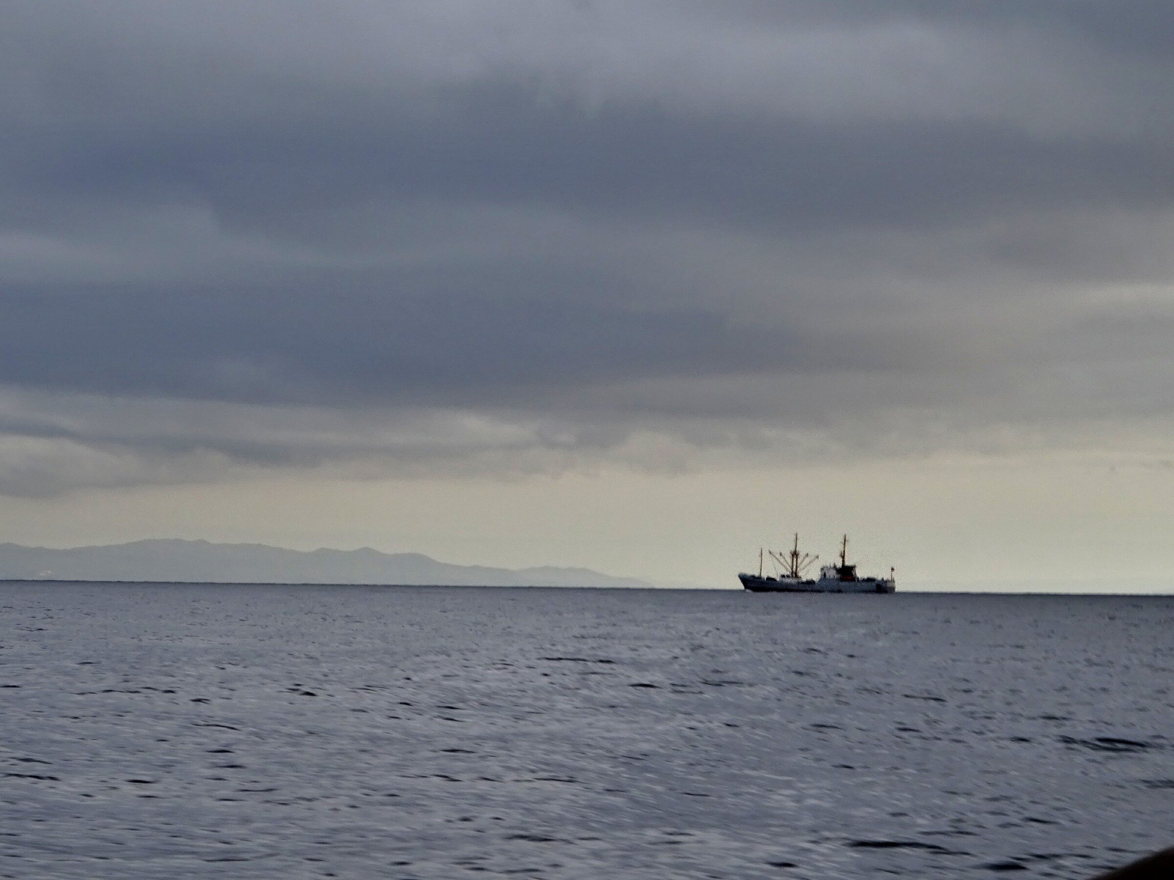 Путешествие к тюленям Ларги. Камни Унковского Путешествие к тюленям Ларги. Камни Унковского