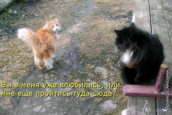 Новый год к нам мчится, скоро всё случится...) Новый год к нам мчится, скоро всё случится...)