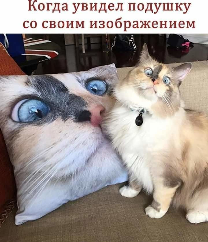 - Посмотри, дорогая, какой у меня сегодня отличный улов!... мужчина, ничего, конечно, сегодня, пошел, знаки, нужно, возмущается, парень, Идите, отсюда, собственной, ключи, загадочные, женыЕдешь, метро, вдруг, встречаешь, девушку, которую