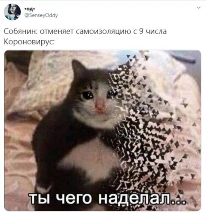       .   .  