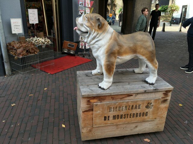 Много ли надо для собачьего счастья? не всё так грустно