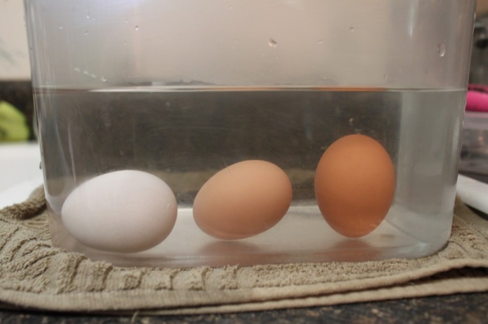 2 способа, как определить свежесть куриных яиц, чтобы потом не пожалеть желток, халаза, которого, более, продукт, располагается, время, совсем, стоит, около, массы, белок, следует, взбивания, неверно, процессу, мешает, вредная, убирать, влияет