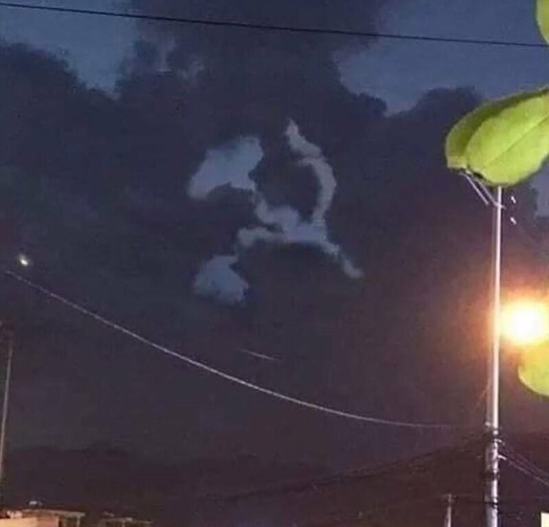 Шутки за 300 от матушки-природы Шутки за 300 от матушки-природы деревья ,интересное, природа , природные явления, растения, шутки