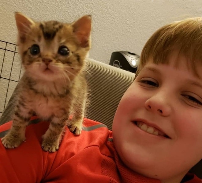 Котенок и ребенок