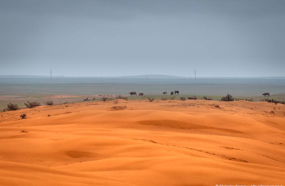 Черные земли: где расположена зловещая пустыня России