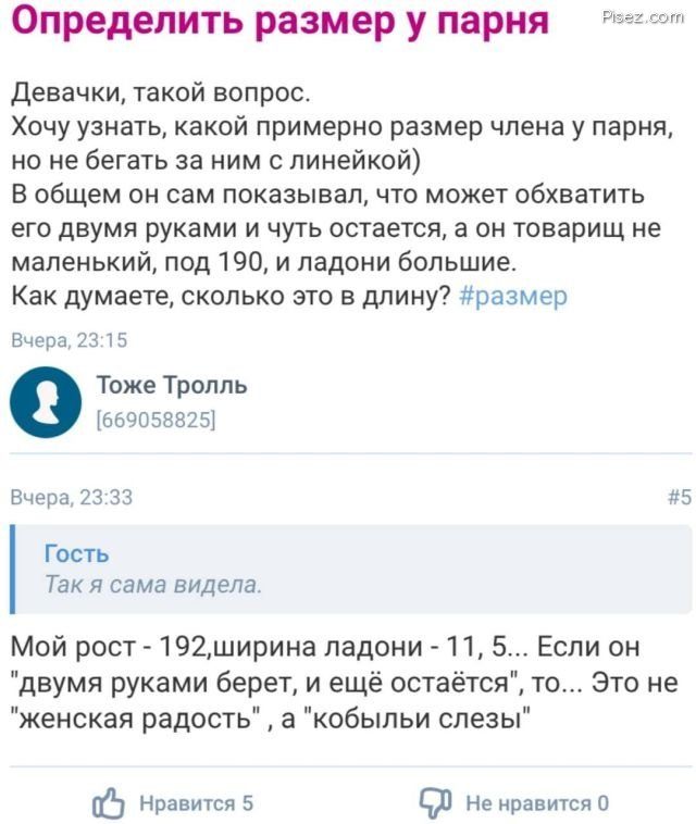 Настало время действительно важных вопросов позитив,смешные картинки,юмор