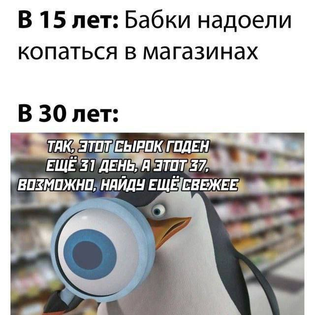 Смешные картинки с надписями и томат истребитель Смешные картинки с надписями и томат истребитель